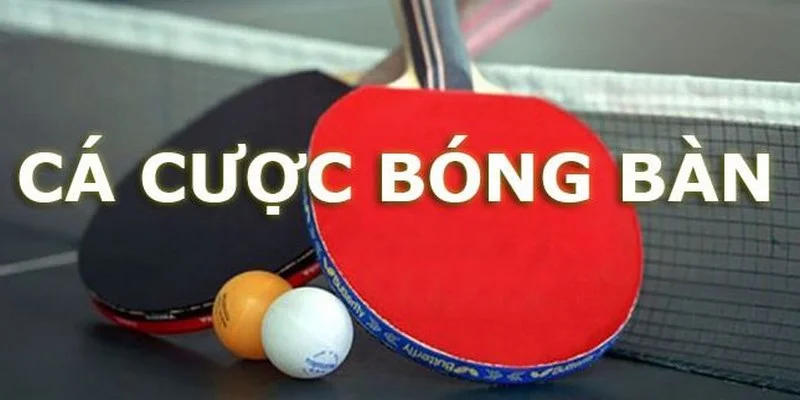 saba-sports-kubet88-ca-cuoc-bong-ban