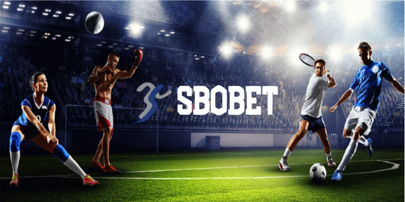 the-thao-kubet88-sbobet